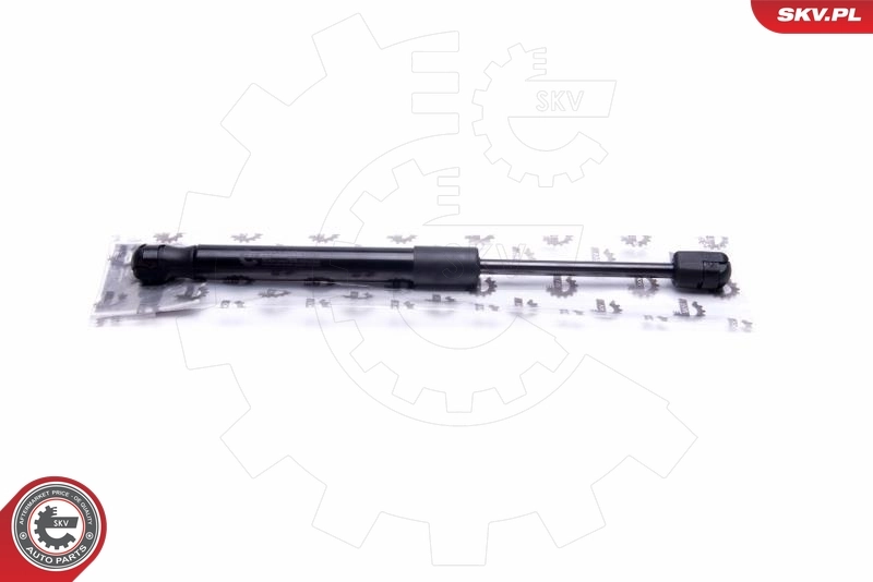 Gas Spring, boot/cargo area